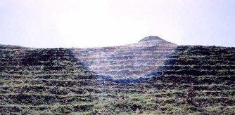 Taking a picture of  small peak and this orb floats in to take a peek of it's own.