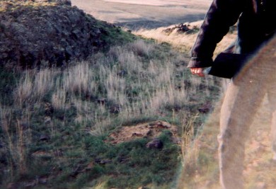 This one flew between the camera and the subject at right. This orb tried to alight upon the cameramans hands.